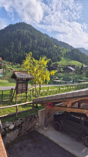 Property grounds - Châtel 370 m² 19 pers sauna + baby -football billiards (Châtel)