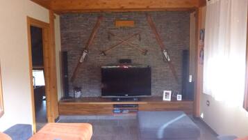 TV connectée, cheminée, lecteur de DVD, livres