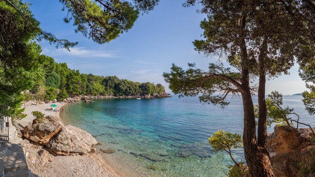 A beach with clear water, rocky shoreline, and trees.