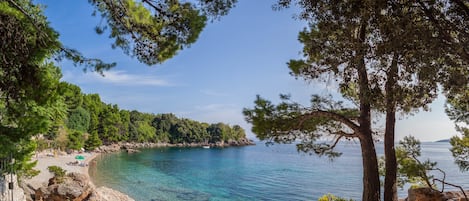 Plage, chaises longues, serviettes de plage