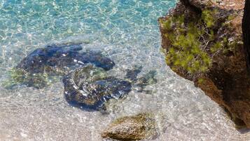 Ubicación a pie de playa, tumbonas y toallas de playa