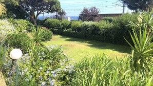 A well-maintained garden with a variety of plants and flowers, a lawn, and a large tree providing shade. - Cannes - Sea front apartment, beach front, pool, garden, internet, aircon (Cannes)
