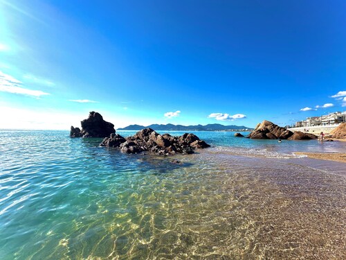 Cannes - Sea front apartment, beach front, pool, garden, internet, aircon