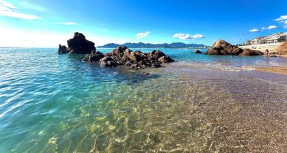 Cannes - Sea front apartment, beach front, pool, garden, internet, aircon