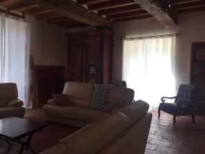 TV, fireplace, books