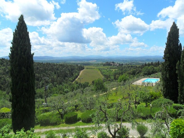 A landscape with a pool, trees, and a distant view of mountains.