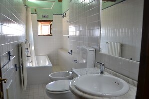 Combined shower/tub, hair dryer, bidet, towels