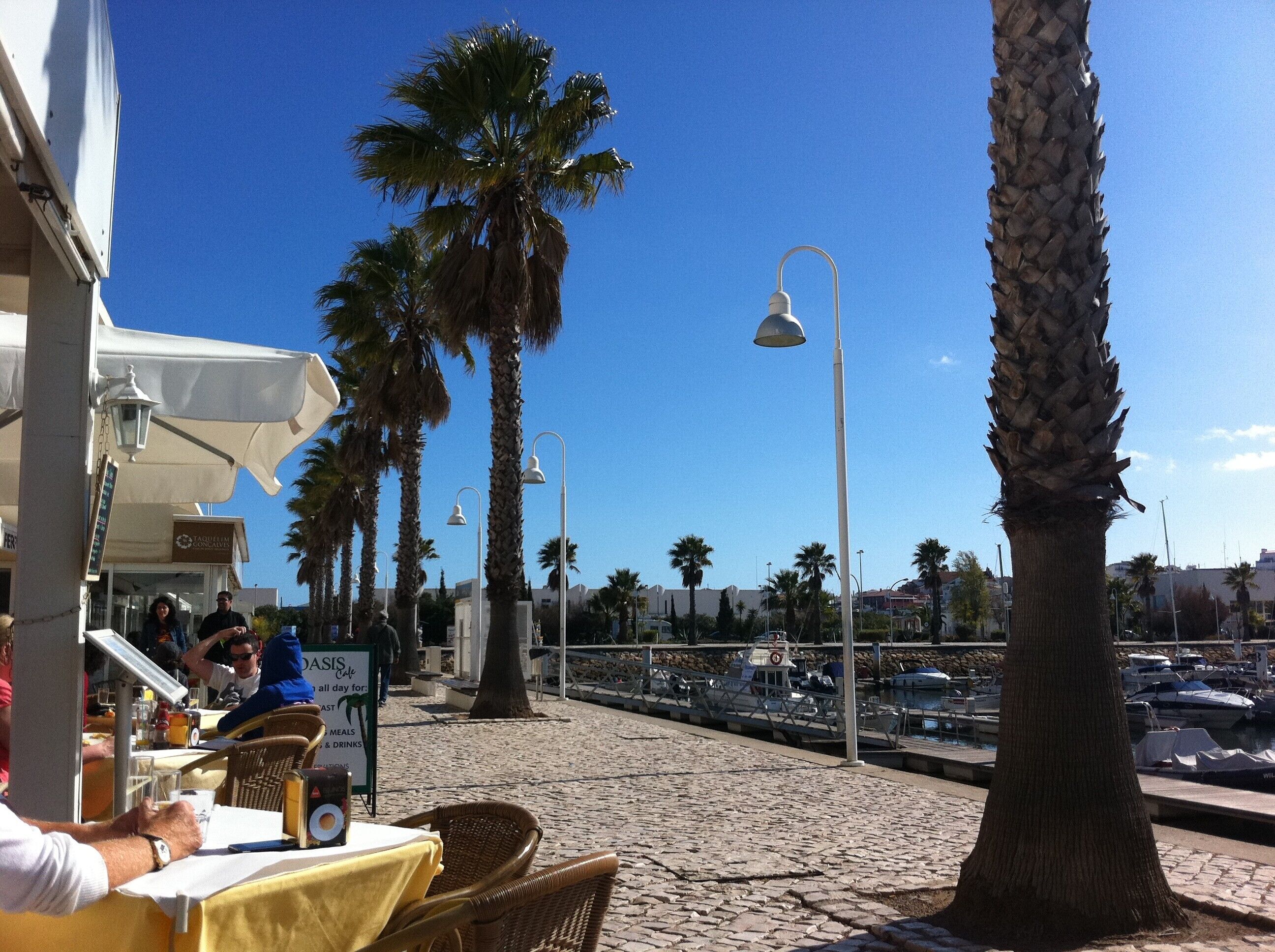 A coastal outdoor seating area with palm trees, a café, and a marina in the background.