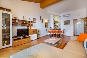 TV, DVD player, books, video library