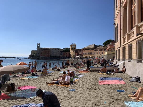 Playa en los alrededores y camastros 