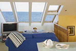 Smart TV, DVD player, books, video library