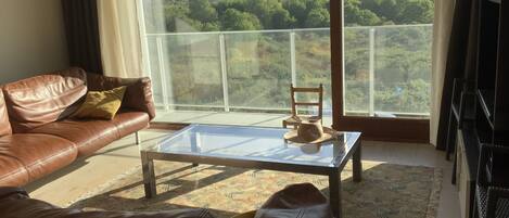 TV, libri, impianto stereo