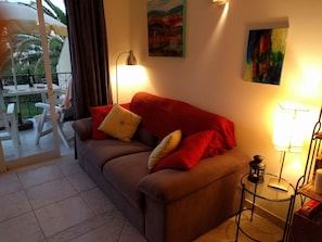 TV, DVD player, books, music library