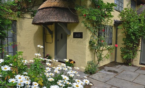 Beck Cottage New Forest