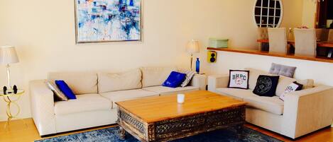 Télévision, cheminée, lecteur de DVD