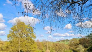 A round metal table with two chairs, a book, and a vase of flowers in a grassy outdoor setting with a pond and trees in the background. - Spectacular setting in unspoilt East Devon, 15 minutes from Jurassic Coast. (Nr Honiton)