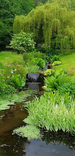 Upeat puitteet koskematon East Devon, 15 minuutin päässä Jurassic Coast.  