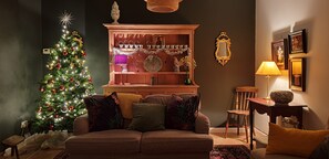 Smart TV, fireplace, DVD player, books