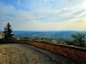 Un patio empedrado con un muro de ladrillo, un alto árbol perenne y vistas a colinas distantes.
