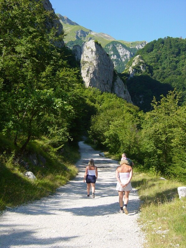 A gravel path leading through a mountainous area with dense greenery on both sides.