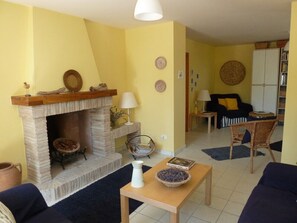 TV, fireplace, DVD player, books