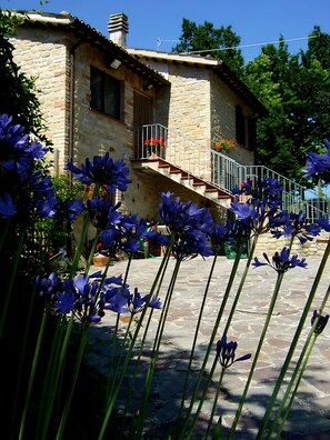 Un bâtiment en pierre avec un escalier menant à un balcon, le tout entouré de fleurs bleues.