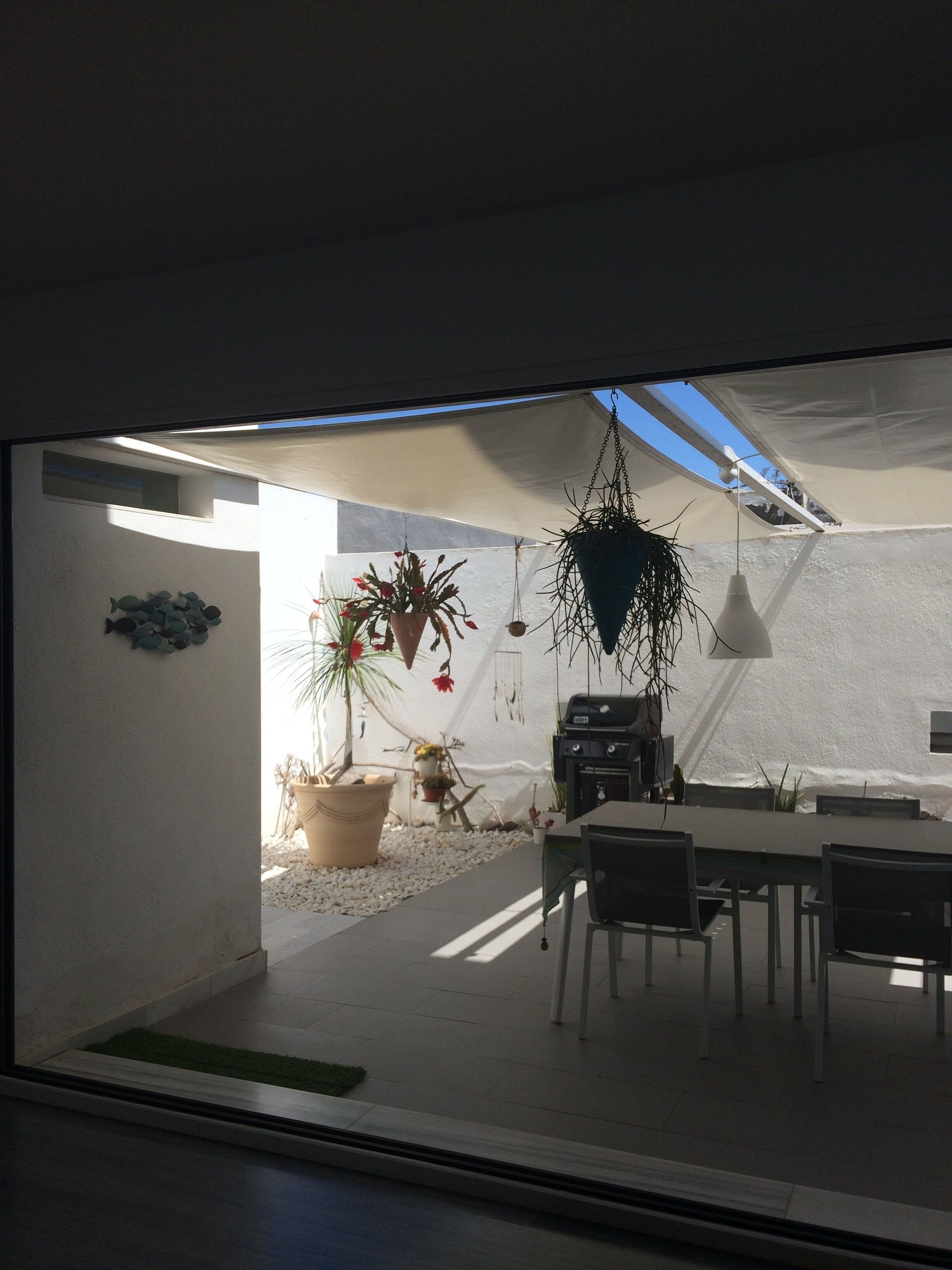 A modern dining area with a table and chairs, a hanging light fixture, and potted plants.