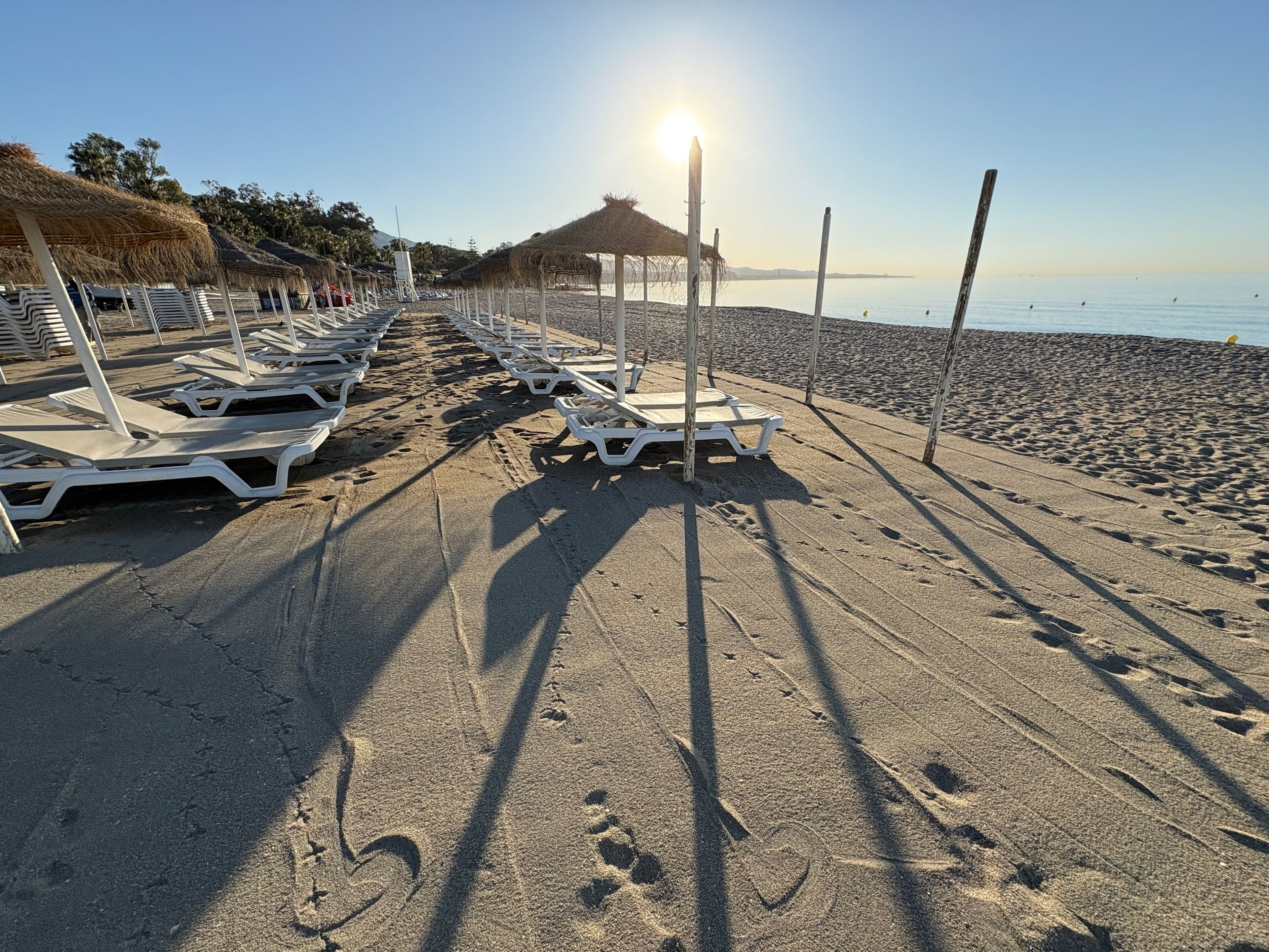 A beach with rows of sun loungers and umbrellas, a clear sky, and the ocean in the background.