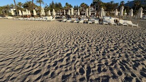 A beach with rows of sun loungers and umbrellas, palm trees, and a mountain in the background. - Puente Romano Phase 2, Golden Mile, Marbella (Marbella)