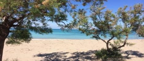 A beach with a tree in the foreground and a clear view of the ocean.