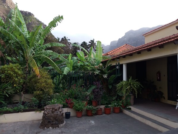 A courtyard with a variety of potted plants, a stone stump, and a building with a tiled roof.