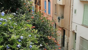 A narrow cobblestone street flanked by buildings with balconies and windows. - House with character of  a fisherman (Collioure)