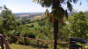 A scenic view from a balcony overlooking a lush landscape with a palm tree and a wooden fence.