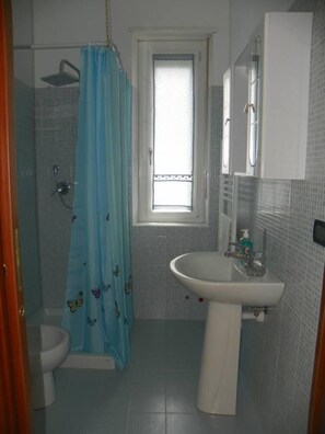 Ducha, secador de pelo, toallas, papel higiénico