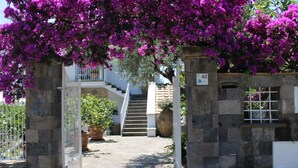 A stone entrance with a gate, a staircase, and potted plants.