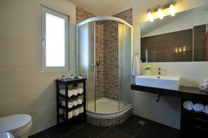 Shower, hair dryer, towels, soap