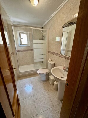 Bathtub, hair dryer, bidet, towels