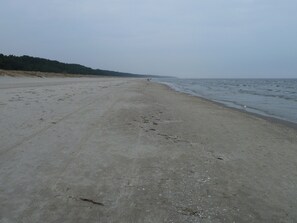 Nära stranden