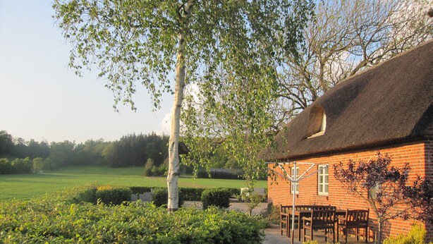 Een bakstenen huis met rieten dak, omgeven door een verzorgde tuin en een grote boom.