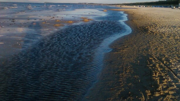 A beach with clear water, a sandy shore, and a distant shoreline with buildings. - Comfortable child-friendly holiday apartment, Baltic Sea, Usedom, beach, fishing (Peenemünde)