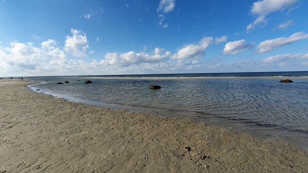 Une plage avec un ciel dégagé et une mer calme.