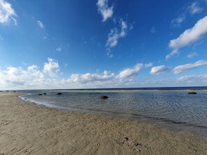 Ein Strand mit blauem Himmel und ruhigem Wasser.