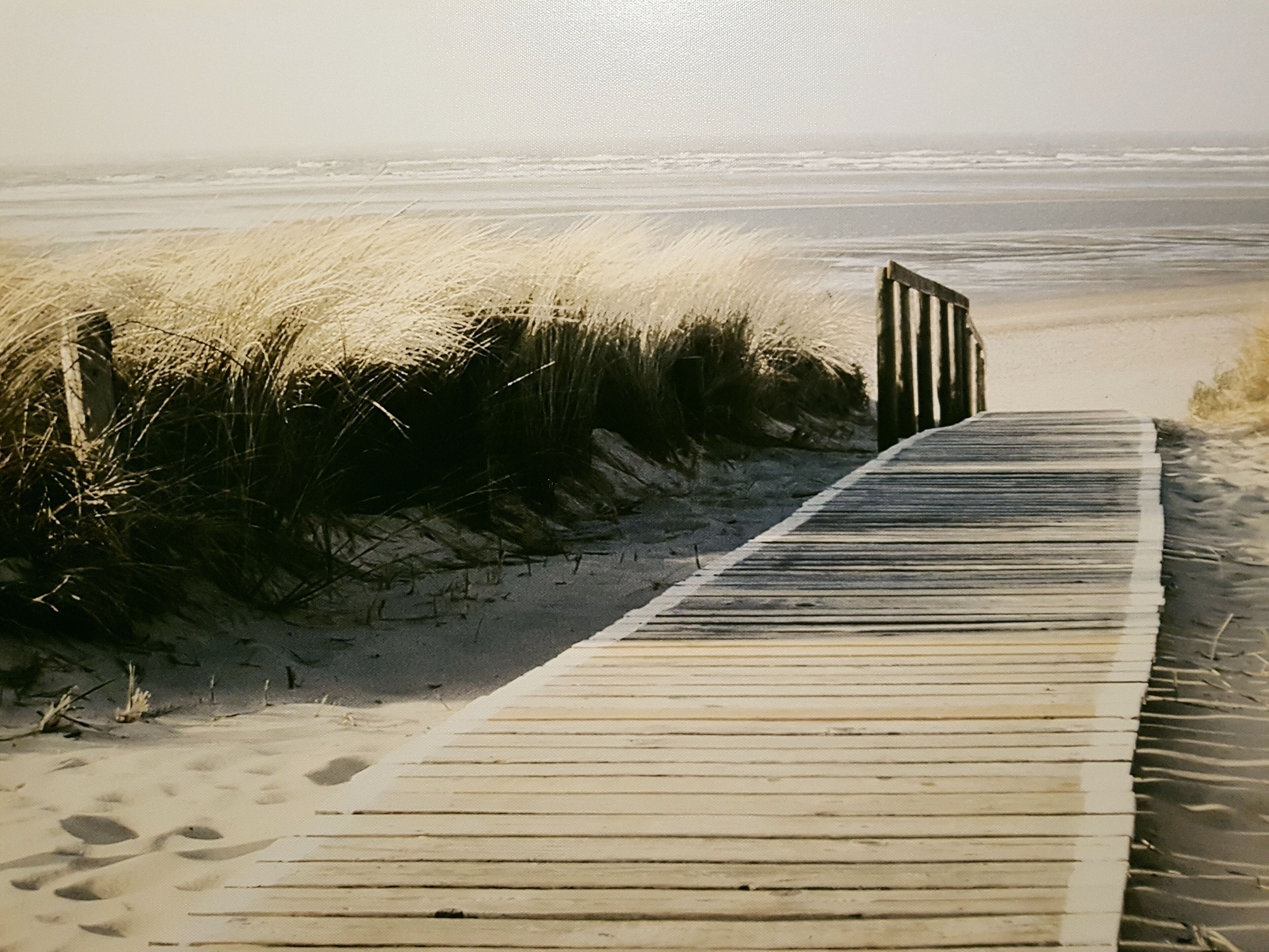 En träpromenad som leder ner till stranden, omgiven av sand och gräs.
