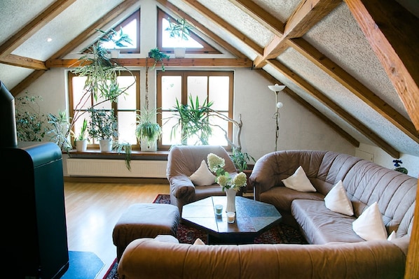 TV, fireplace, DVD player, books - Large vacation home with sauna and free wifi (Heiligenstadt i.OFr.)
