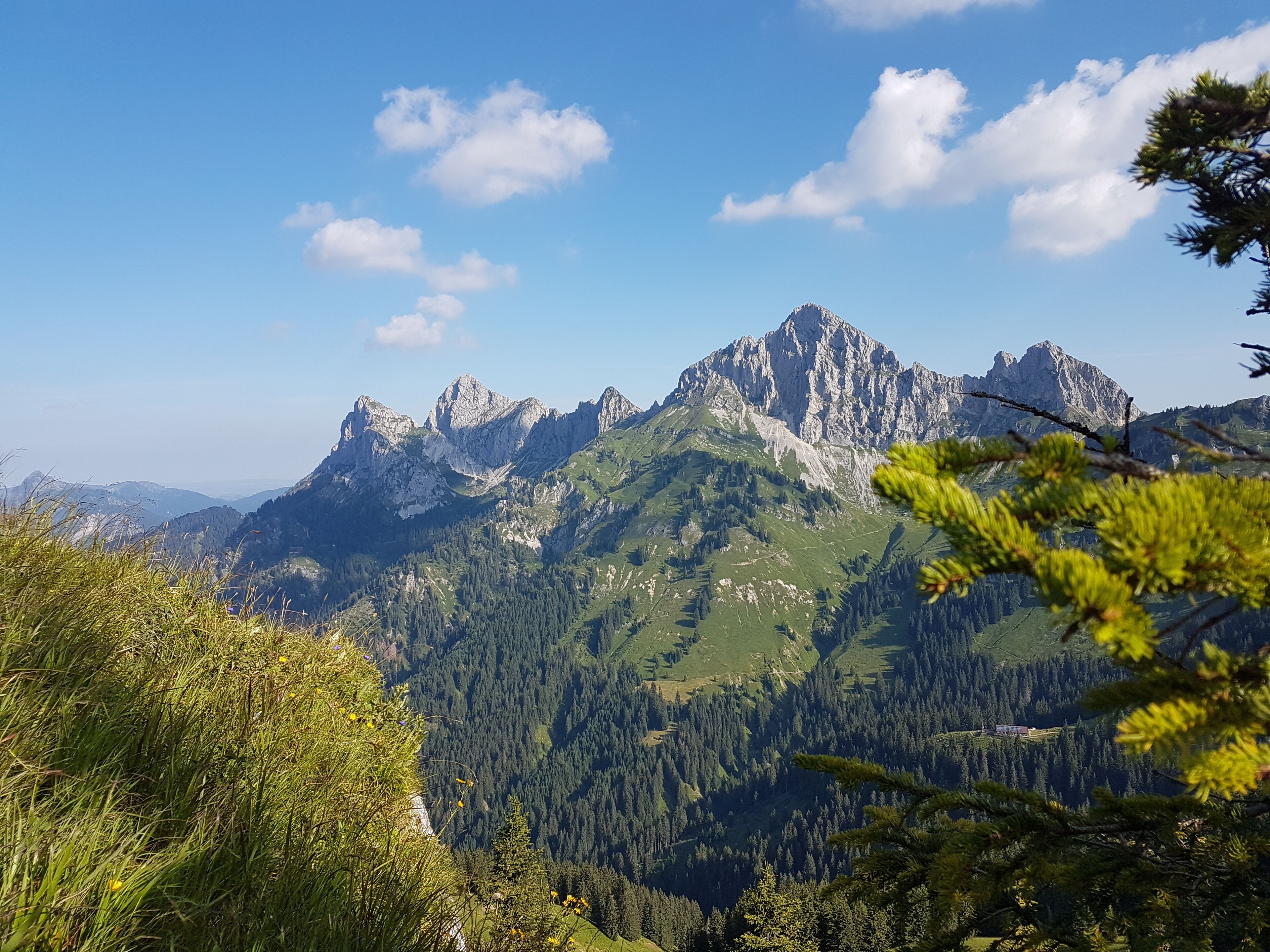 A mountain landscape with a prominent peak, dense forest, and a clear sky.