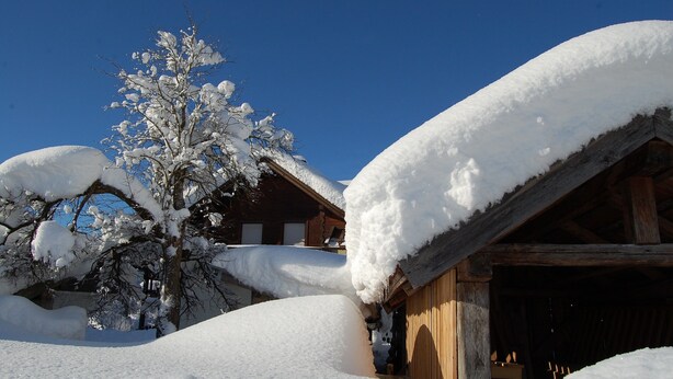 Una cabaña de madera cubierta de nieve, con techo inclinado y un gran árbol en primer plano.