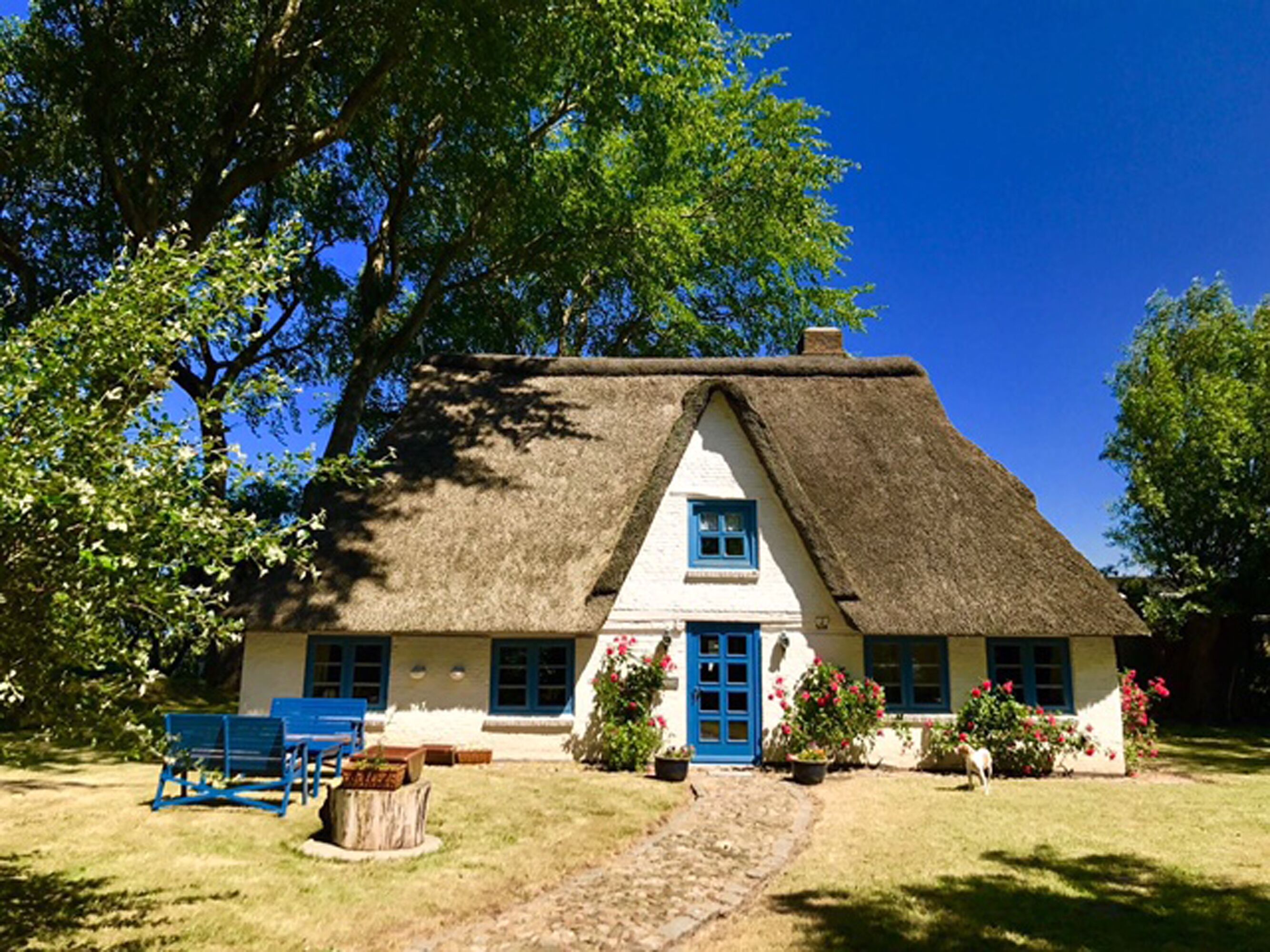 Holiday home for up to 10 people near Büsum & St. Peter Ording dogs welcome