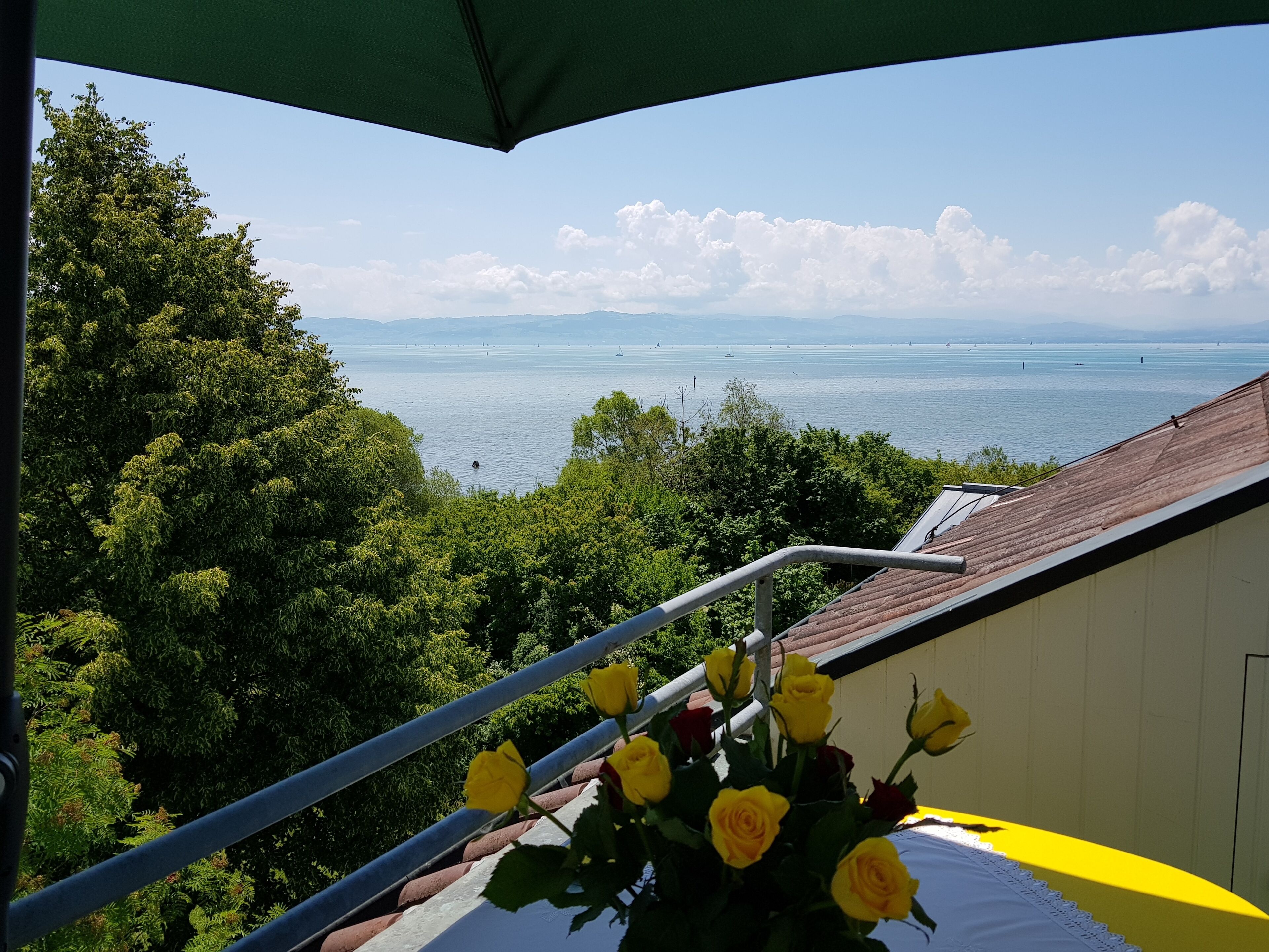 ARISTA Ferienwohnung in Friedrichshafen mit See- und Alpensicht vom Balkon 