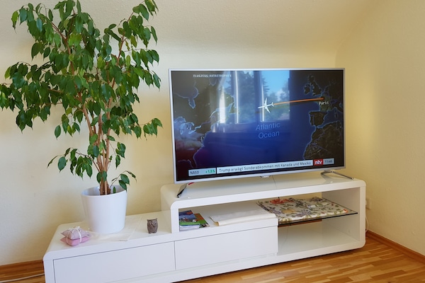 ARISTA Ferienwohnung in 88046 Friedrichshafen: Fernseher