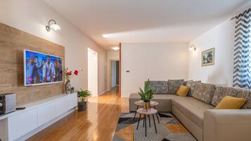 TV, caminetto, lettore DVD, libri